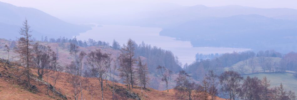 Beautiful hazy landscape photo of Coniston Water and silver birch trees.