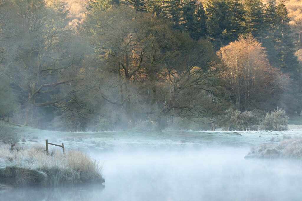 Lake District landscape photography. Featuring the River Brathay in the Lake District National Park. A crisp, misty spring morning delivered a beautiful atmosphere during the early hours. Mist rising from the River Brathay which snakes through the scene, gently rises and caresses the ancient Oak trees which sit on the bank of the river, positioned centrally within the frame. Photographed with a Canon 70-200mm F4L lens.