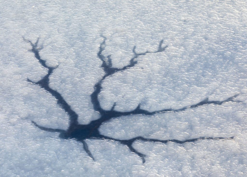 Macro photograph of an ice pattern during winter.