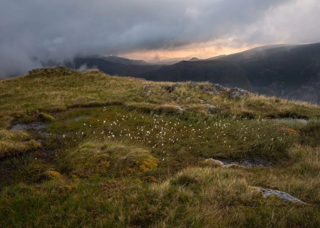 Landscape photograph of beautiful Cotton-grass thriving on Bowfell during a spectacular summer's morning in the Lake District.