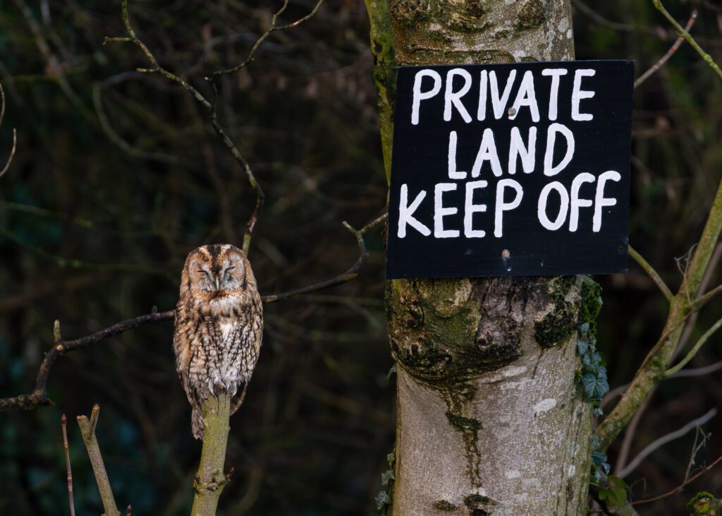 Wildlife photograph of a Tawny Owl resting on a broken branch next to a private land sign.