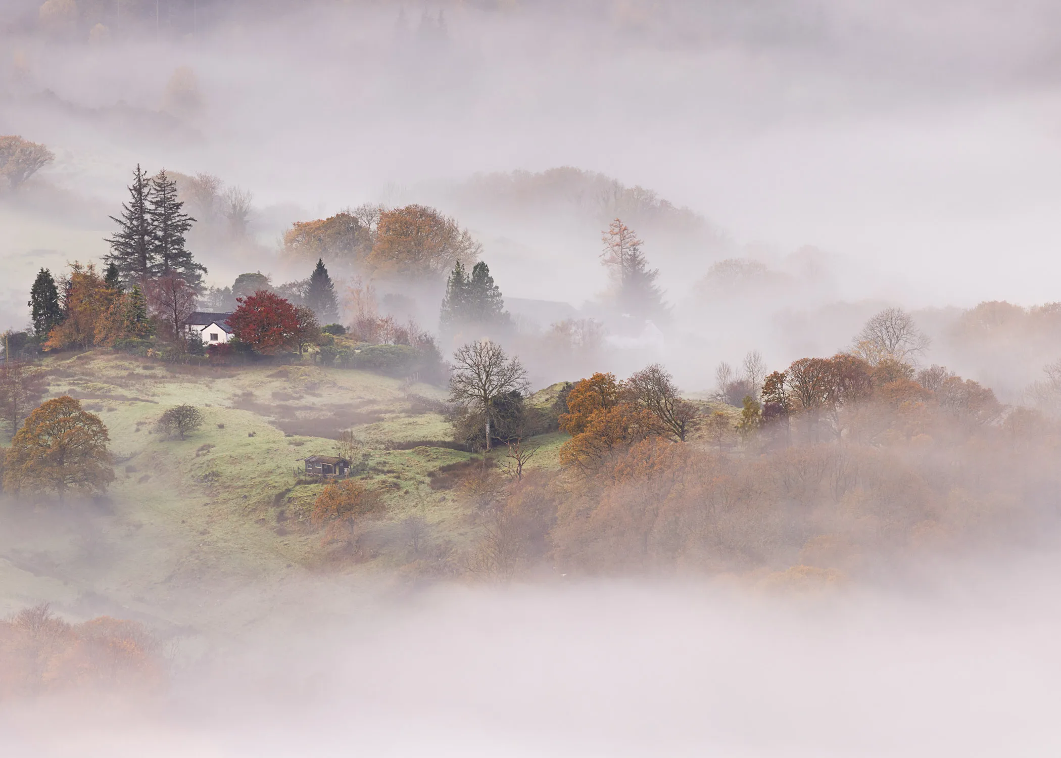 A stunning view from Loughrigg Fell featuring a quintessential Lake District house surrounded by autumnal trees and mist.
