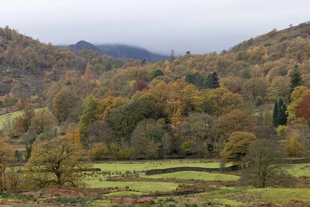A stunning view from the B5343 looking towards Elterwater with the trees sporting peak autumn colours.