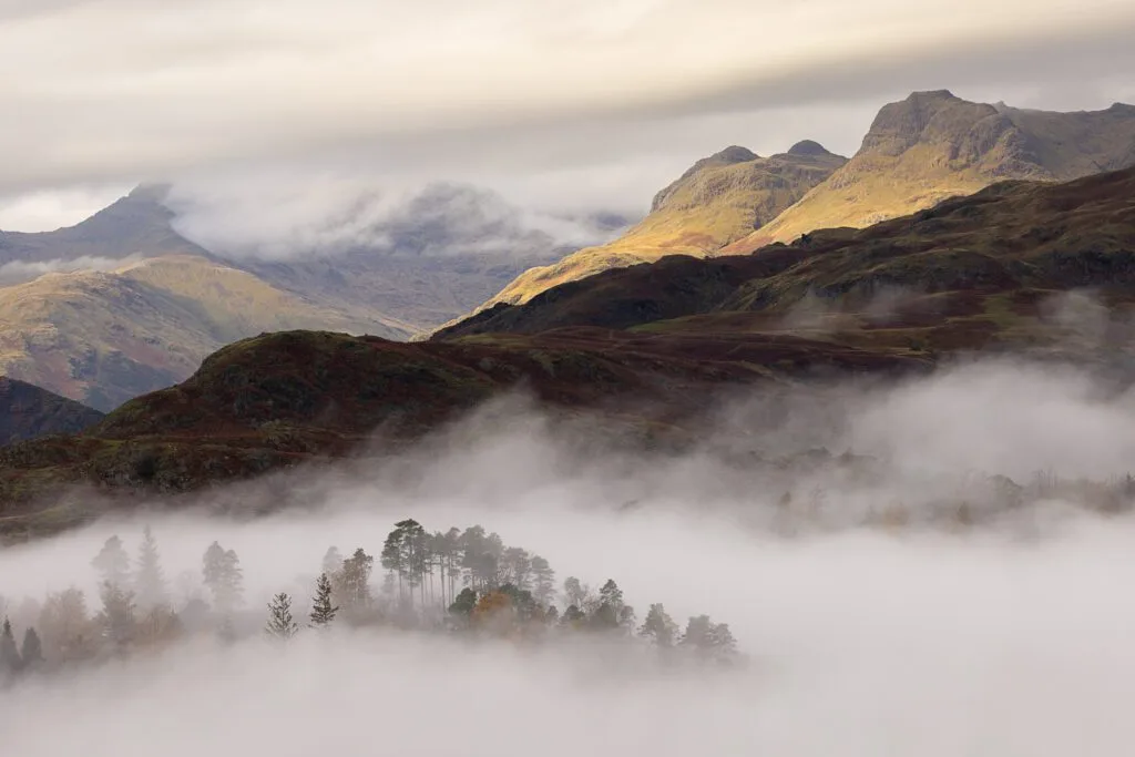 The Langdale Pikes as seen from Loughrigg Fell. Mist shrouds the foreground with a handful of autumnal trees poking out.