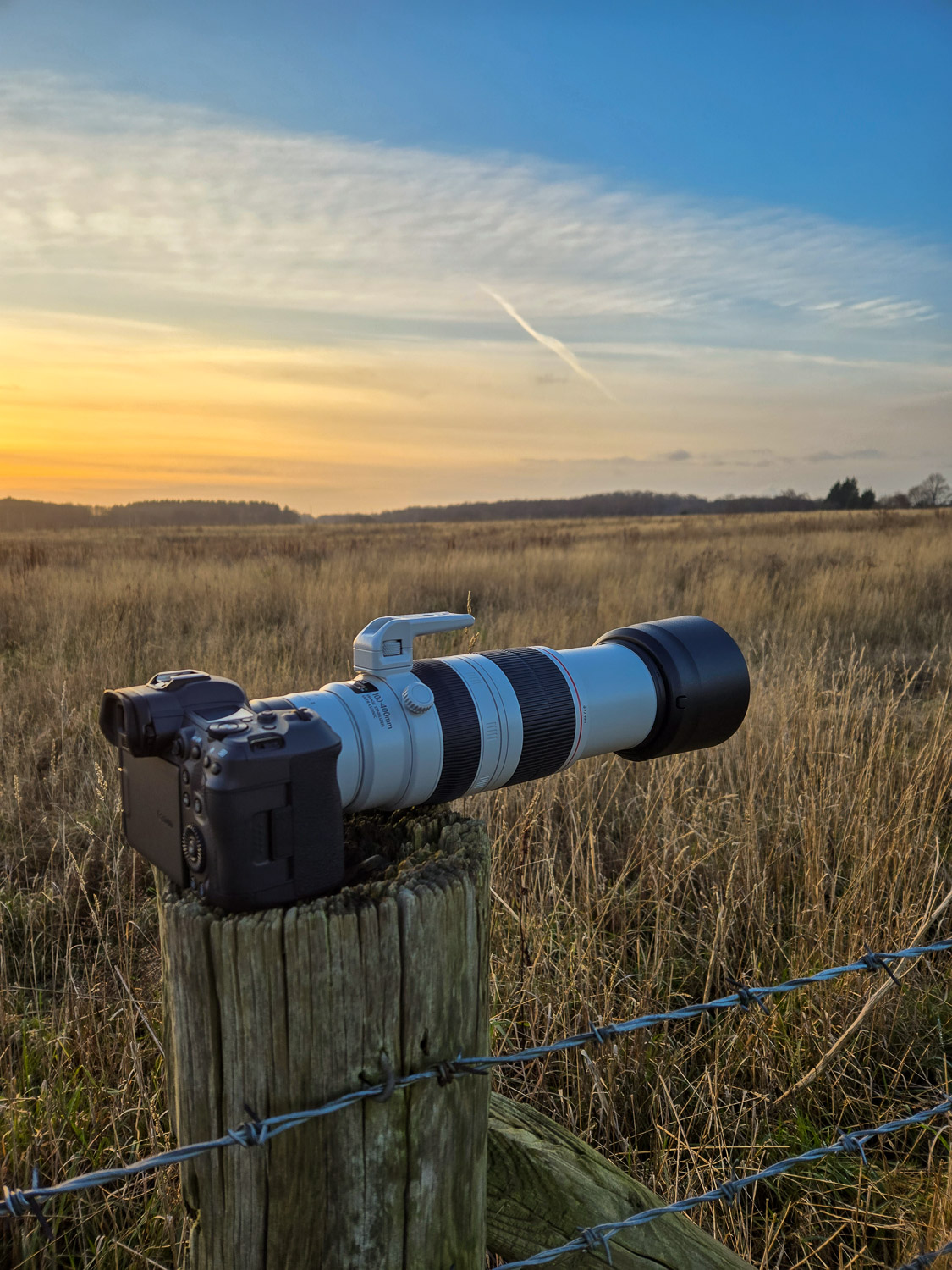 Canon EF 100-400mm f/4.5-5.6L IS II USM with Canon EF 1.4x III Extender on a wooden post at Sunset.