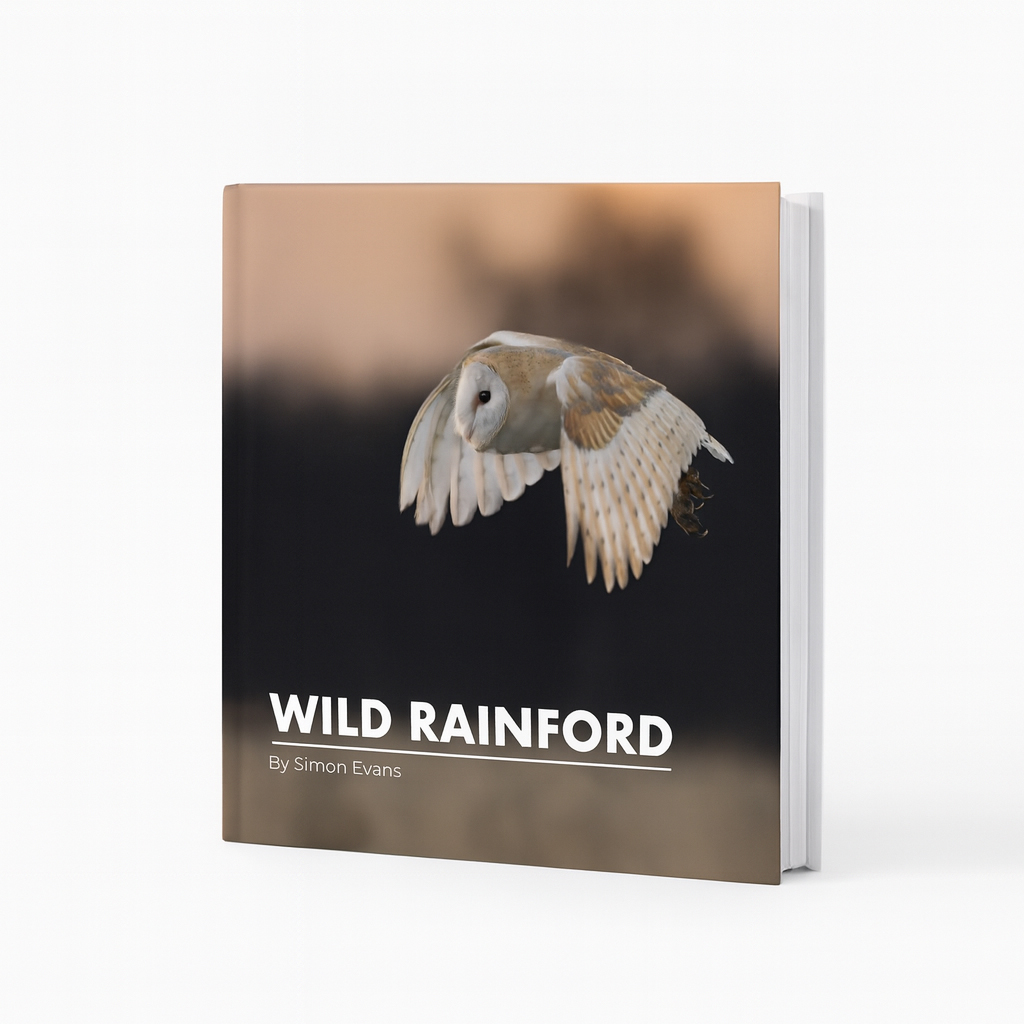 Mock-up of a concept for WILD RAINFORD, a nature and landscape photography book by Simon Evans