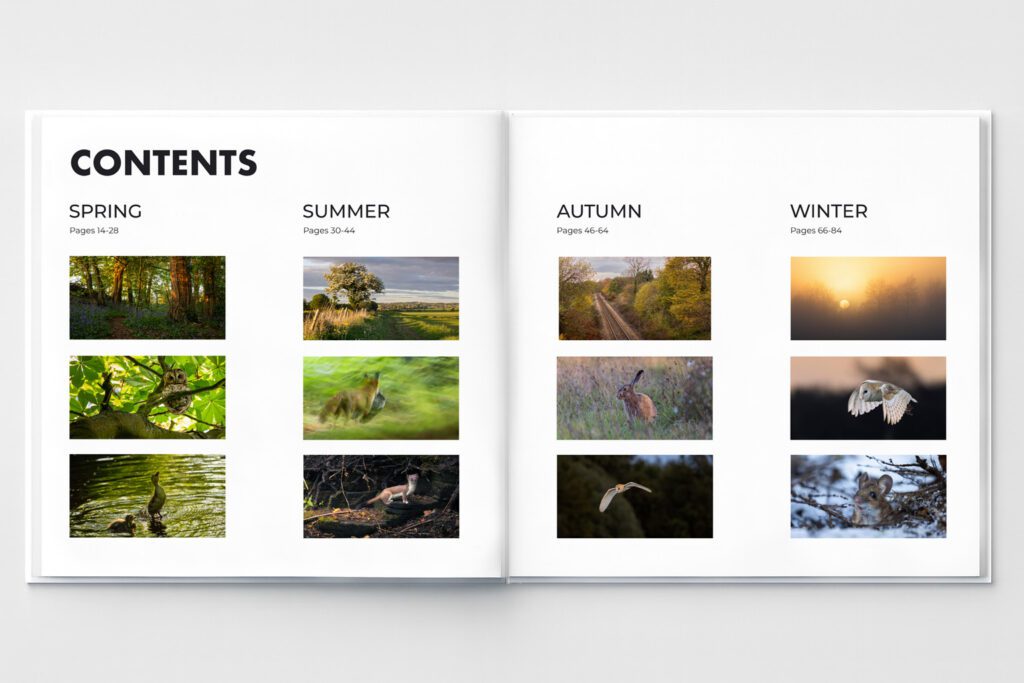 Mock-up of a concept for WILD RAINFORD, a nature and landscape photography book by Simon Evans