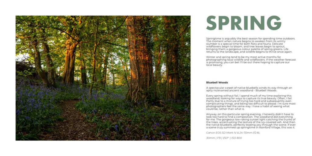 Landscape photograph of an ancient woodland in spring featured in the book WILD RAINFORD written by Simon Evans
