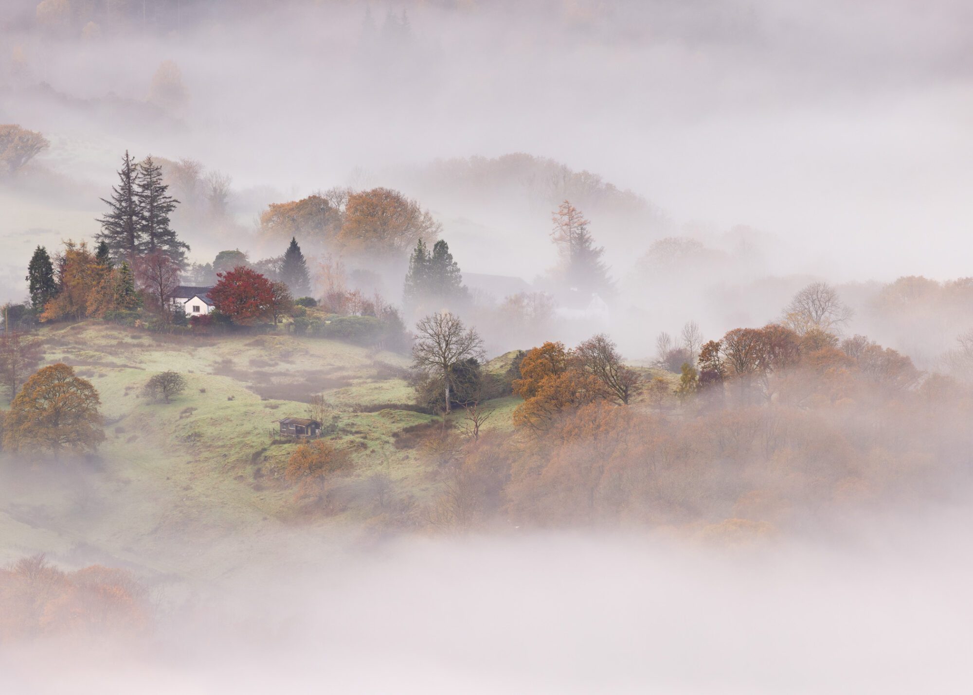 A Lake District autumnal landscape covered in mist during sunrise on Loughrigg Fell.