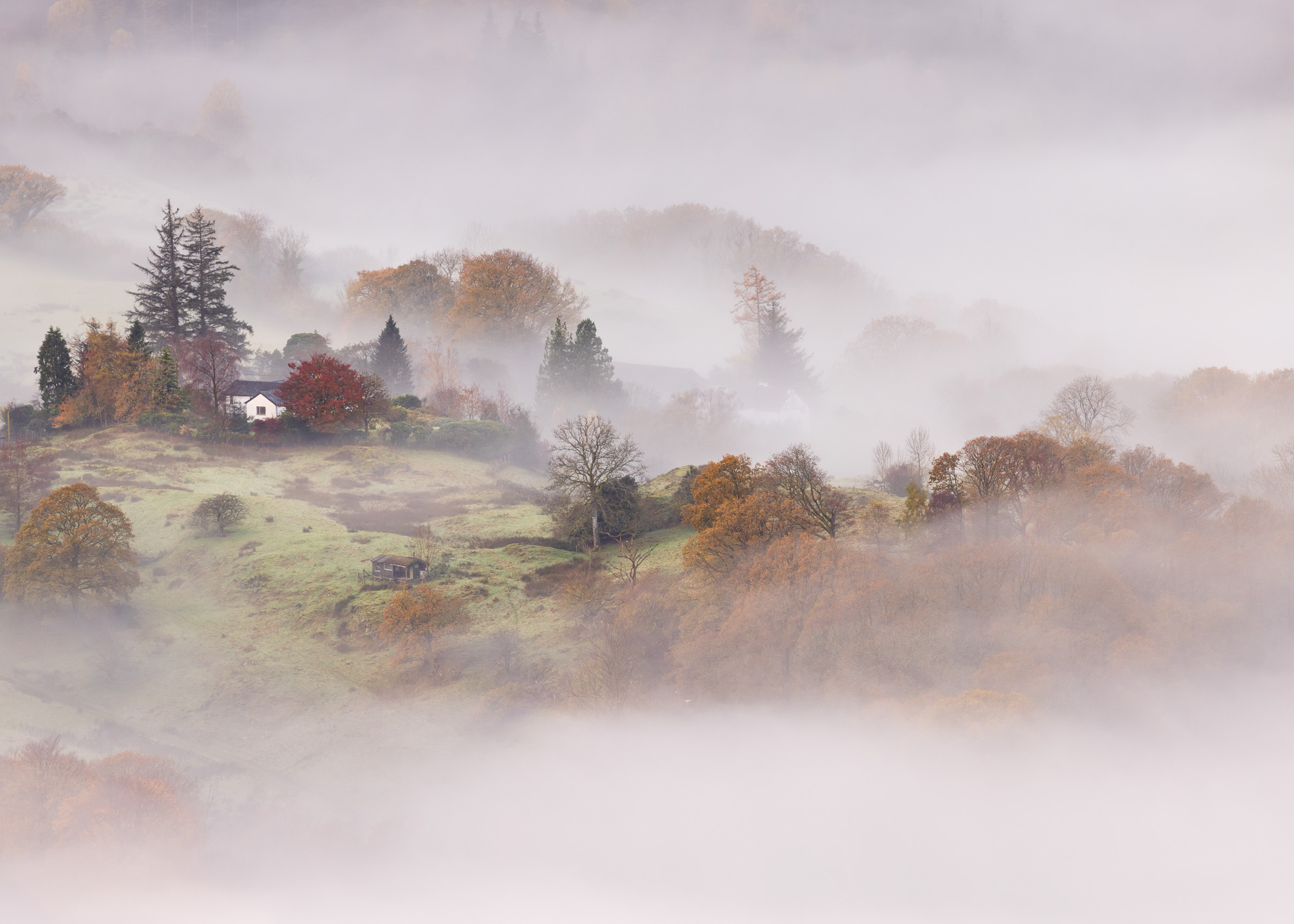 Capturing the Beauty of Loughrigg Fell During Autumn in the Lake District