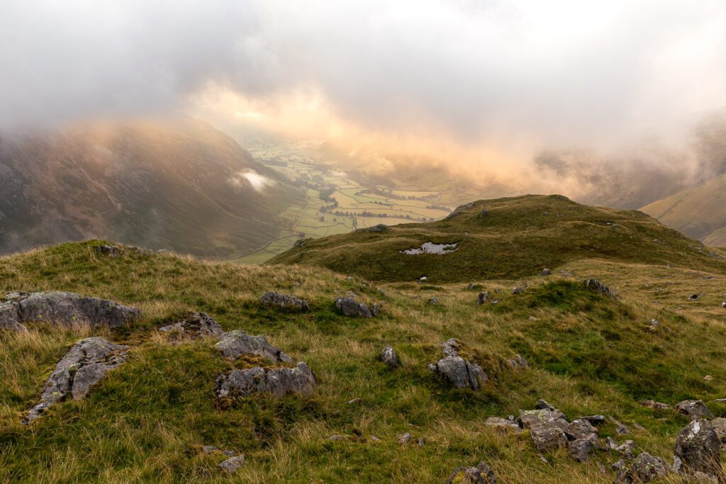 Summer Gallery - Still Outdoors