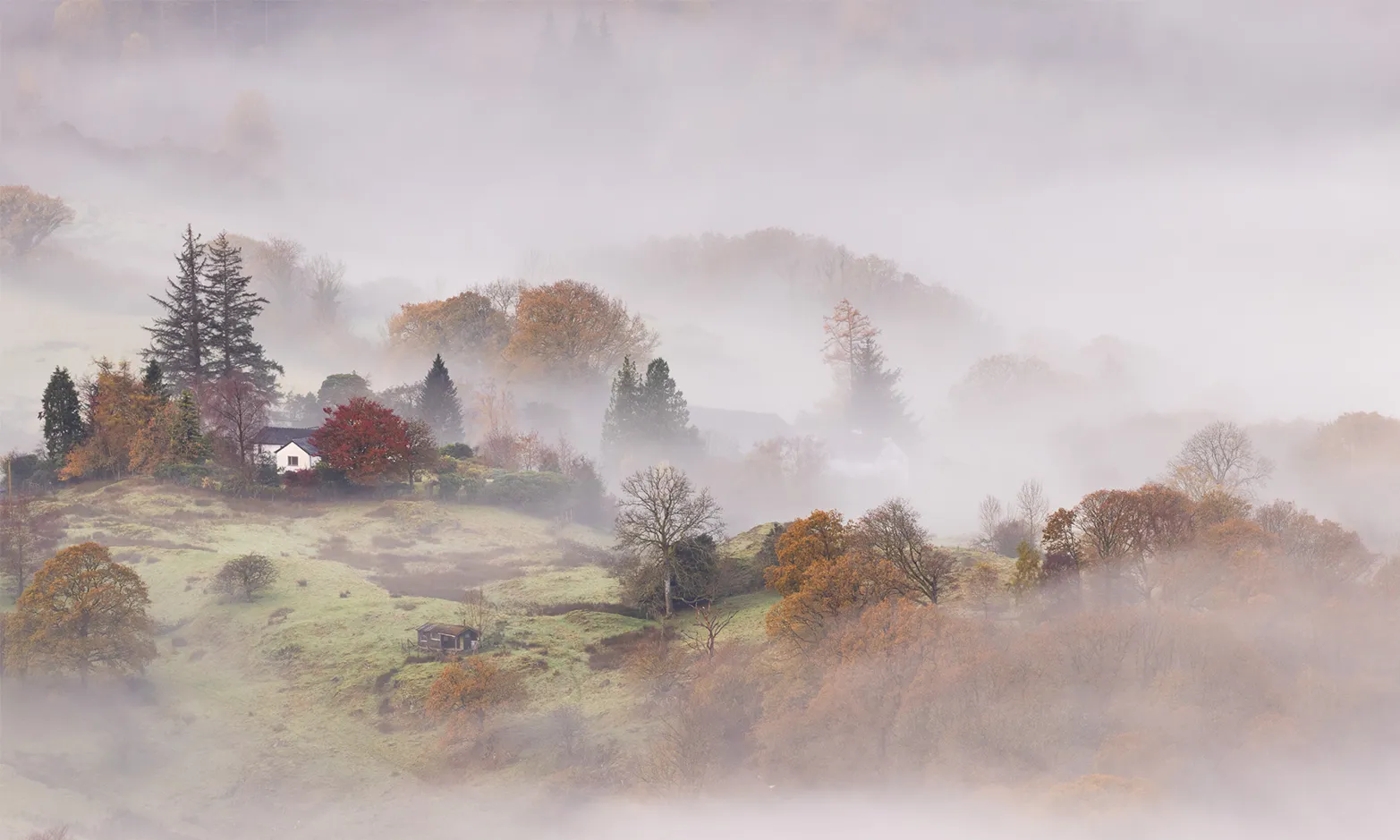 A Lake District autumnal landscape covered in mist during sunrise on Loughrigg Fell.