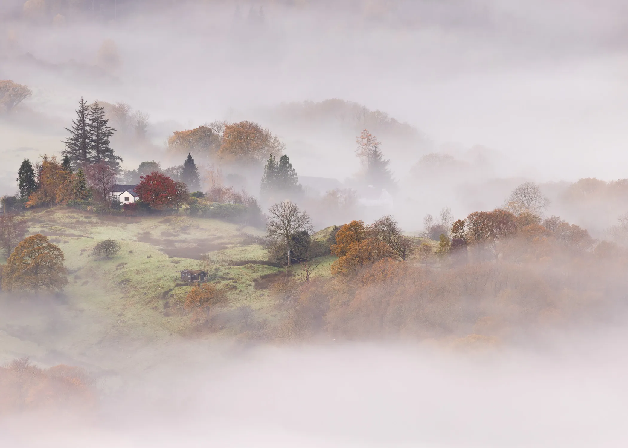 An autumnal landscape in Great Langdale, shrouded in early morning mist, captured from the summit of Loughrigg Fell in the Lake District.