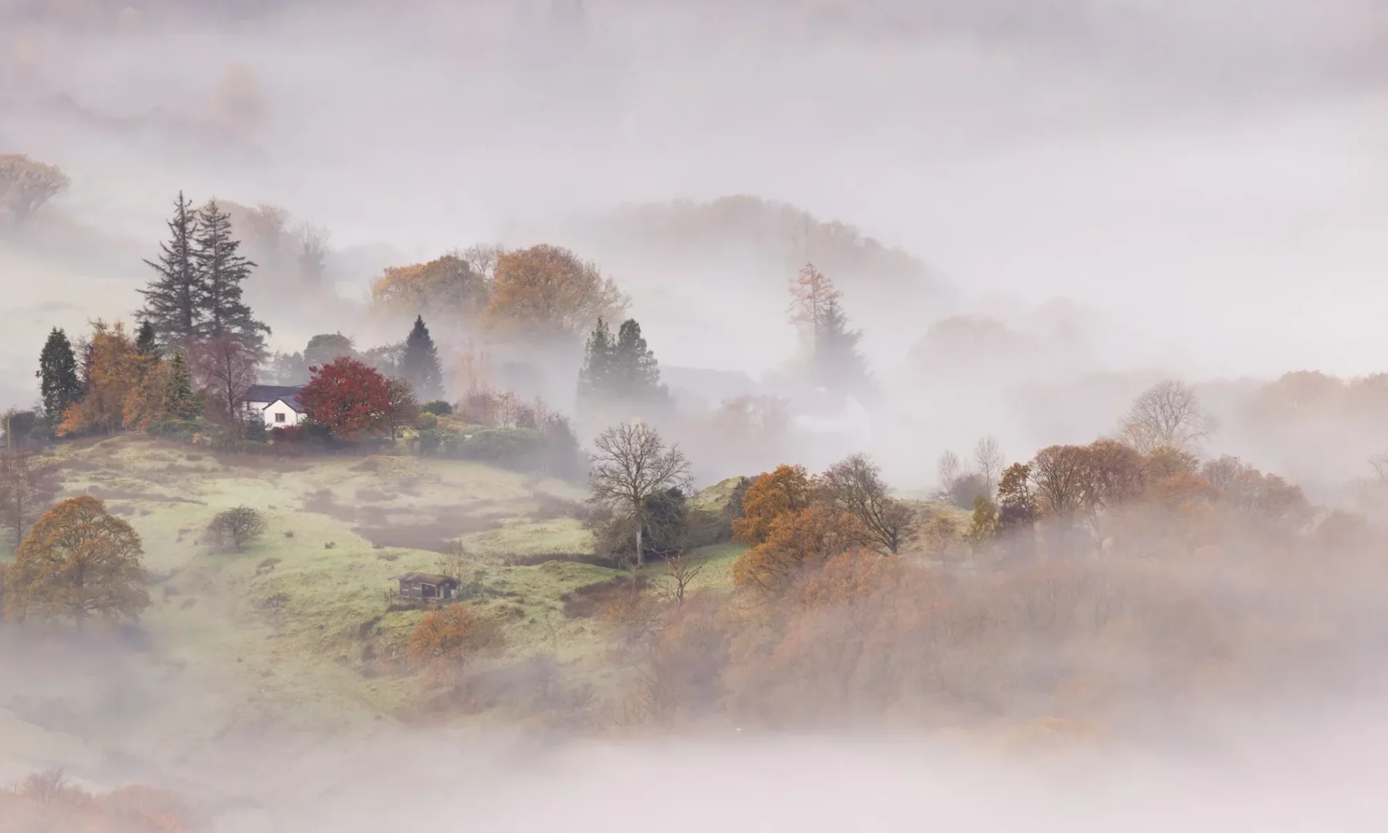 A Lake District autumnal landscape covered in mist during sunrise on Loughrigg Fell.