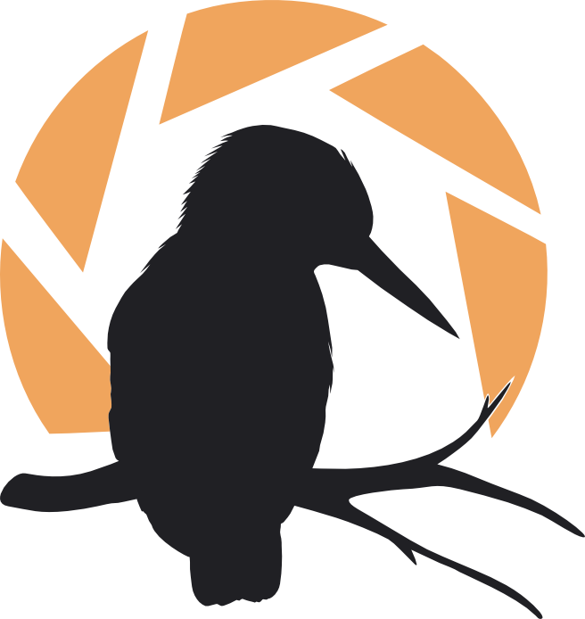 Still Outdoors refreshed brand logo featuring a perched Kingfisher silhouette and an aperture blade.