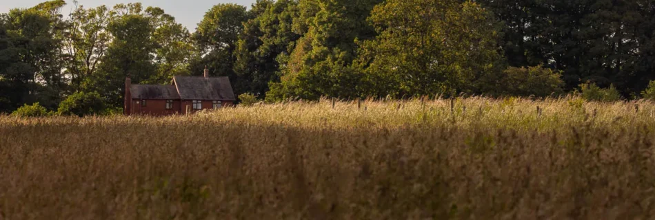 Early sunset across a wild meadow in Rainford Village with a farmhouse in the distance