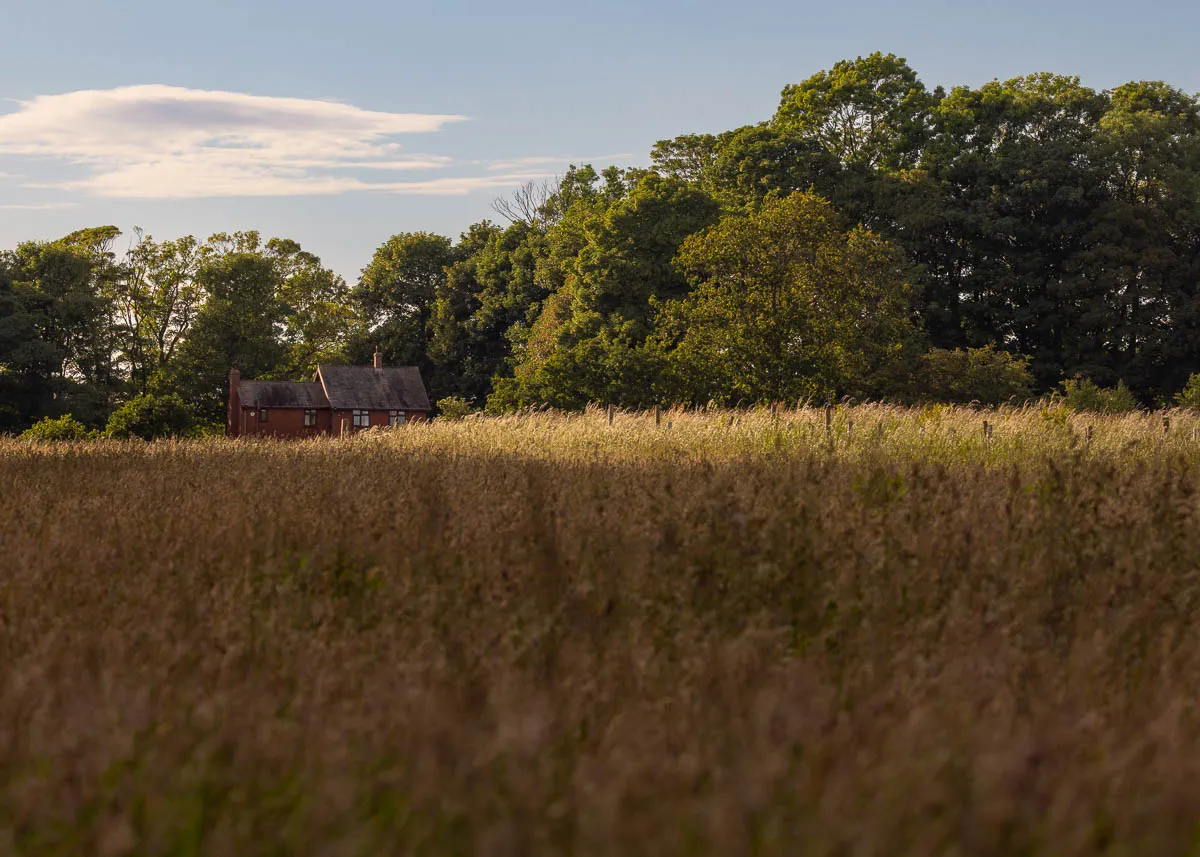 The Single Most Valuable Upgrade for Nature Photography