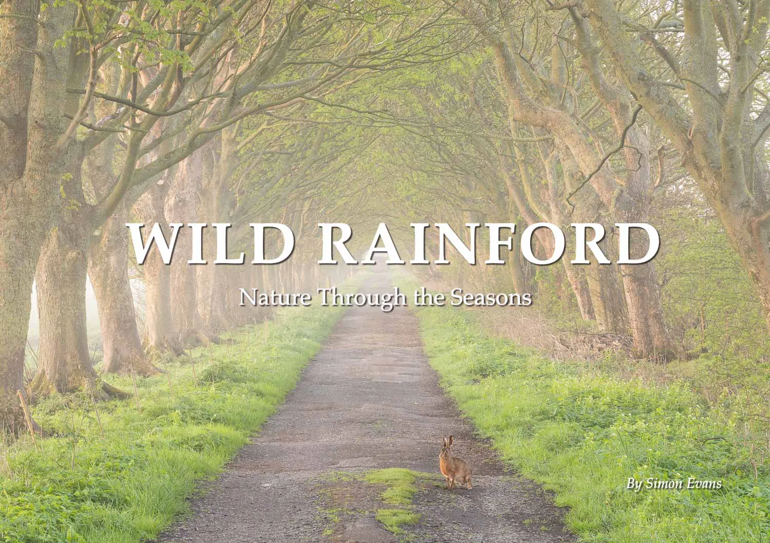 Front cover artwork for the highly anticipated nature photography book, Wild Rainford.