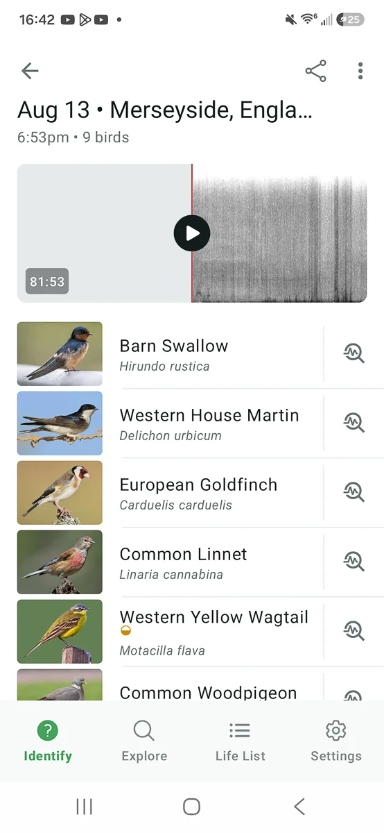 A screenshot from the Merlin bird identification mobile app showing the identify page and a list of birds detected during an example session.