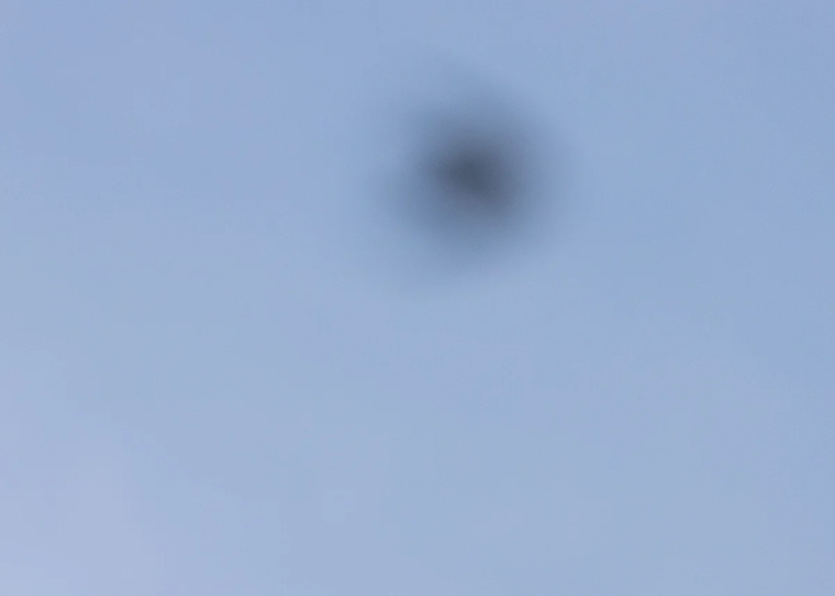 An out-of-focus barn swallow against a clear blue sky caused by camera focus hunting