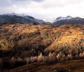 A wide-angle photograph of the snowcapped Langdale Pikes from Tom Heights in the Lake District.