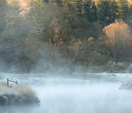 A frosty and misty morning at the River Brathay in the Lake District.