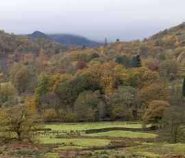 A stunning view from the B5343 looking towards Elterwater with the trees sporting peak autumn colours.
