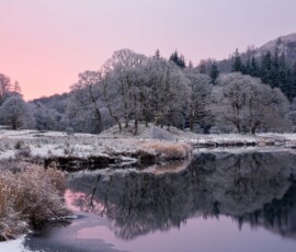 Pink sunrise hues illuminating the skyline above the River Brathay moments before the December 2023 snowstorm began in the Lake District.