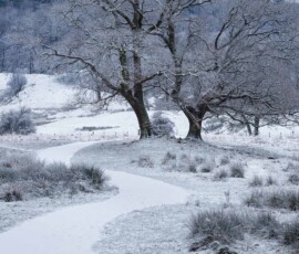 A snow-covered path winding its way along the River Brathay during a cold winter morning in the Lake District.