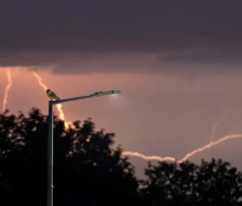 A barn owl perched on a lamp post at night with lightning forking across the night sky in the distance.